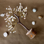 Rose Quartz Crystal Tree – Love & Positive Energy