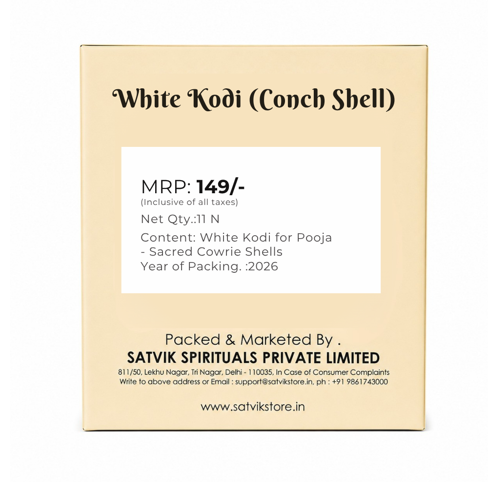 White Kodi for Pooja (11 Pc) – Sacred Cowrie Shells for Daily Pooja Needs