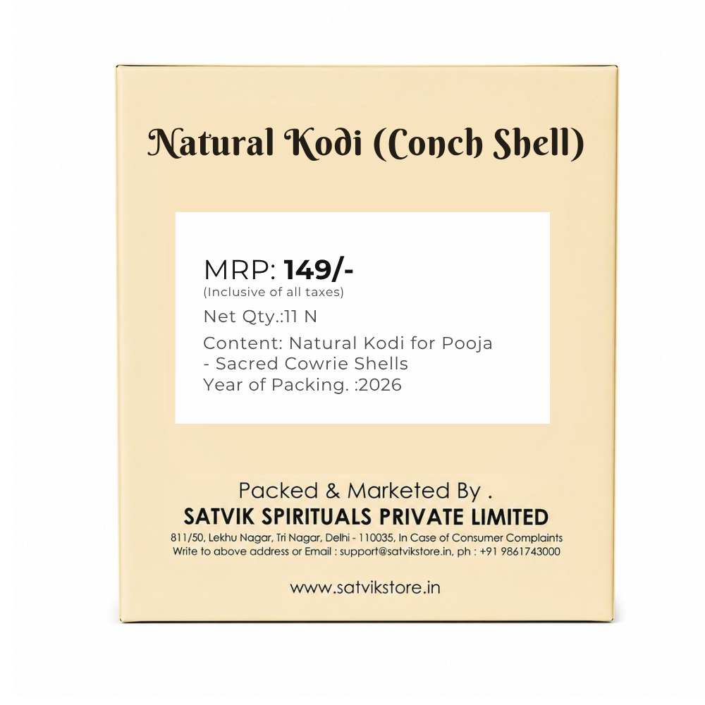 Natural Kodi for Pooja (11 Pc) – Top Quality Cowrie Shells