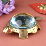 Feng Shui Turtle with Glass (Shubh Labh)