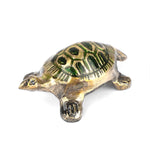 Brass Colored Turtle with Nakashi Plate/Tray (Medium)