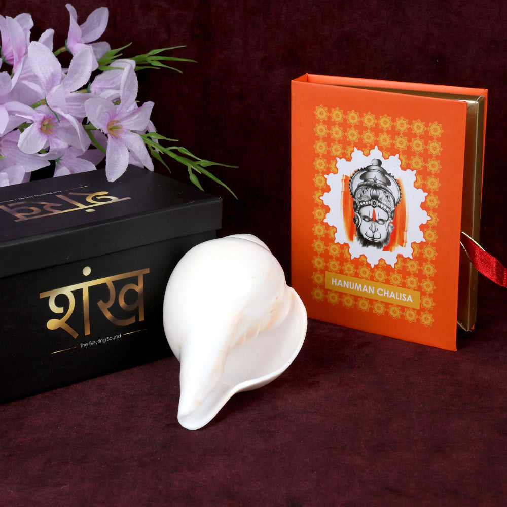 Natural 100% Original Vamavarti Shankha 5.5 Inch Blowing Conch for Pooja. India’s Largest Pooja Accessories Brand - www.satvikstore.in