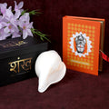 Natural 100% Original Vamavarti Shankha 5.5 Inch Blowing Conch for Pooja. India’s Largest Pooja Accessories Brand - www.satvikstore.in