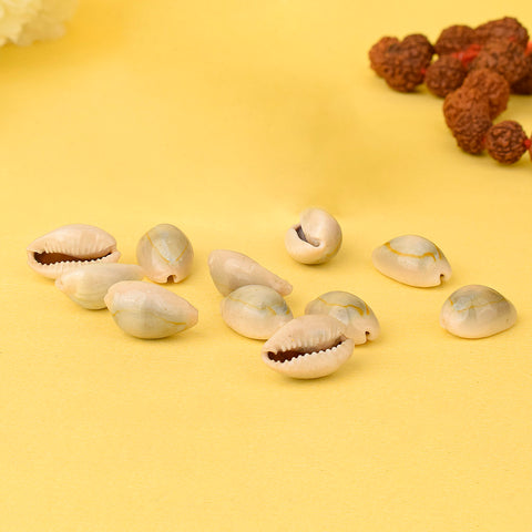 Natural Kodi for Pooja (11 Pc) – These top-quality cowrie shells are ideal for daily rituals, symbolizing wealth and protection in Hindu traditions – India’s Largest Pooja Accessories Brand – www.satvikstore.in