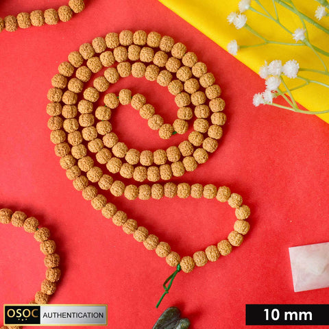 5 Mukhi Semi Pathariya 10 MM Rudraksha Mala