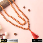 Shop 10-11mm Semi Pathriya Rudraksha Mala for daily Jaap and meditation. This authentic Rudraksha mala brings spiritual balance, positive energy, and peace. India’s Premium Jap Mala Store - www.satvikstore.in