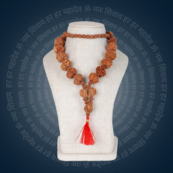 Siddha Mala with 5+1 Sawar Rudraksha (Collector Grade, Nepal)
