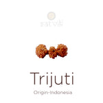 Trijuti Rudraksha bead natural Indo rare three joined Rudraksha. India’s Premium Rudraksha Beads Brand - www.satvikstore.in