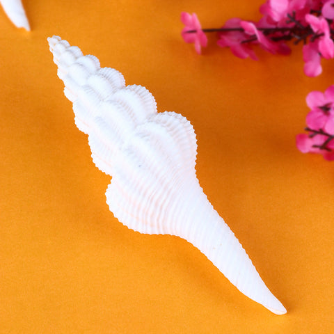 Regular White Ganesh Shankh natural conch shell used for Hindu pooja rituals. India’s Largest Pooja Accessories Brand – www.satvikstore.in
